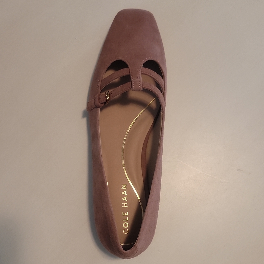 Cole Haan Women's Dusty Pink Suede Ballet Flats